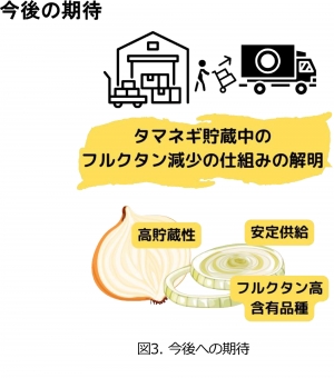 図3：今後への期待