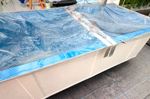 「アクアポニックス」実験ハウス内の水槽