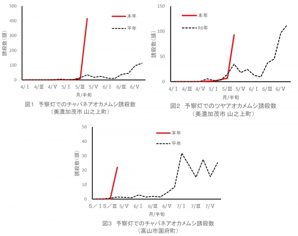 図1：予察灯でのチャバネアオカメムシ誘殺数と図2：予察灯でのツヤアオカメムシ誘殺数（美濃加茂市山之上町）と図3：予察灯でのチャバネアオカメムシ誘殺数（高山市国府町）