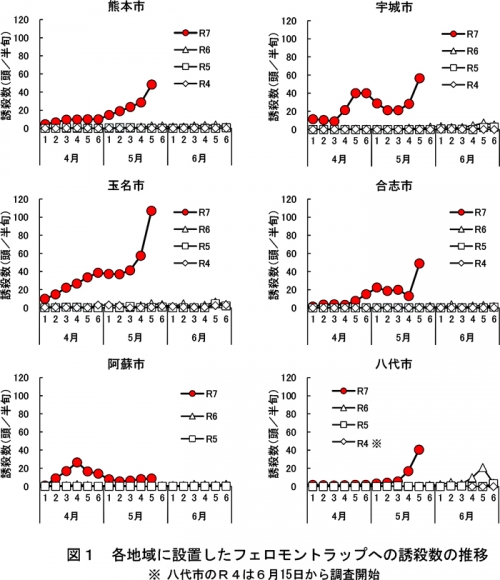 図1：各地域に設置したフェロモントラップへの誘殺数の推移　※八代市のR4は6月15日から調査開始
