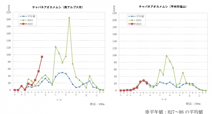 図1：フェロモントラップにおけるチャバネアオカメムシ誘殺数の推移（山梨県病害虫防除所調べ）