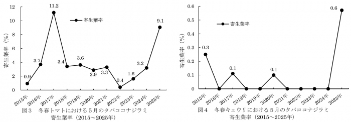 図3：冬春トマトにおける5月のタバココナジラミ寄生葉率（2015～2025 年）と図4：冬春キュウリにおける5月のタバココナジラミ寄生葉率（2015～2025年）