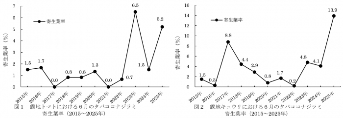 図1：露地トマトにおける6月のタバココナジラミ寄生葉率（2015～2025年）と図2：露地キュウリにおける6月のタバココナジラミ寄生葉率（2015～2025年）