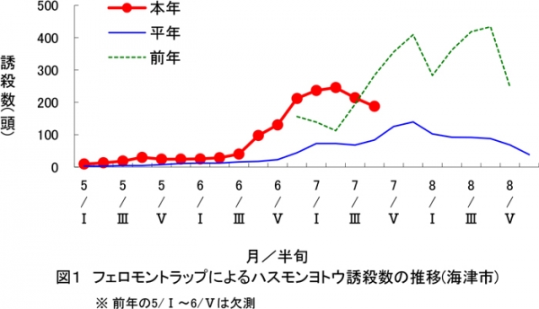 図1：フェロモントラップによるハスモンヨトウ誘殺数の推移（海津市）※前年の5/Ⅰ～6/Ⅴは欠測