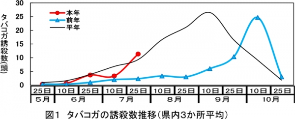 図1：タバコガの誘殺数推移（県内3か所平均）