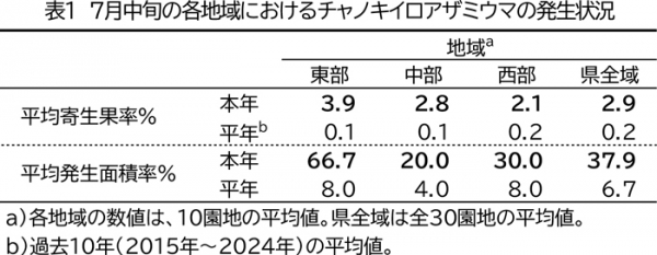 表1：7月中旬の各地域におけるチャノキイロアザミウマの発生状況