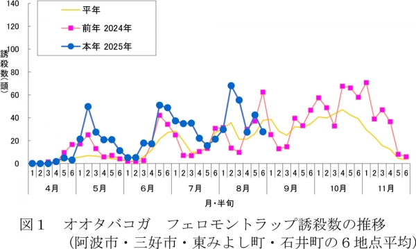 図1：オオタバコガフェロモントラップ誘殺数の推移（阿波市・三好市・東みよし町・石井町の6地点平均）