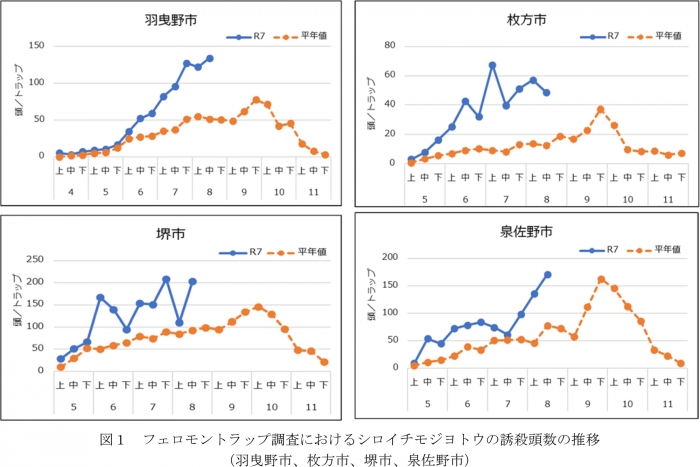 図1：フェロモントラップ調査におけるシロイチモジヨトウの誘殺頭数の推移（羽曳野市、枚方市、堺市、泉佐野市）