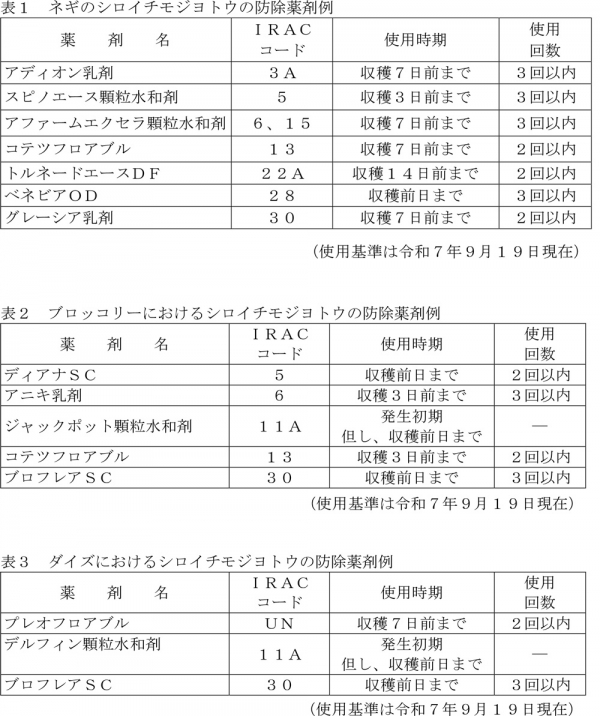 表1：ネギのシロイチモジヨトウの防除薬剤例（使用基準は9月19日現在）、表2：ブロッコリーにおけるシロイチモジヨトウの防除薬剤例（使用基準は9月19日現在）、表3：ダイズにおけるシロイチモジヨトウの防除薬剤例（使用基準は9月19日現在）