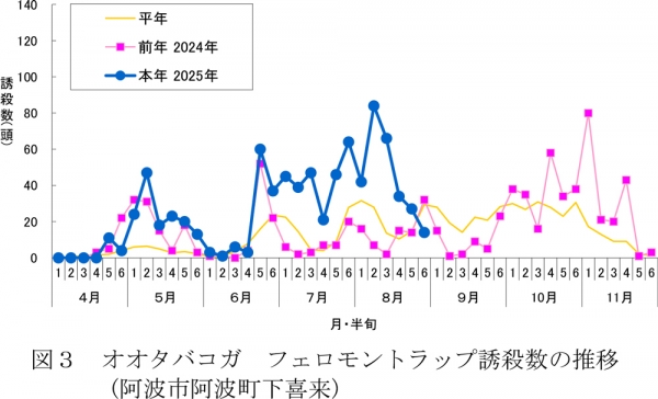 図3：オオタバコガフェロモントラップ誘殺数の推移（阿波市阿波町下喜来）