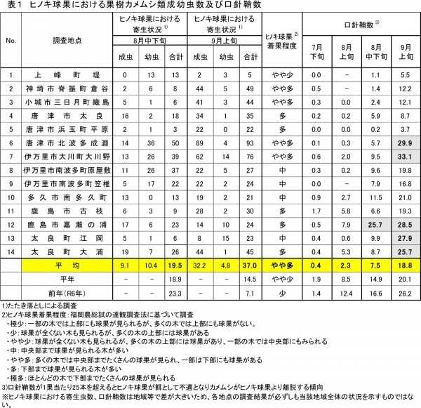 表1：ヒノキ球果における果樹カメムシ類成幼虫数及び口針鞘数