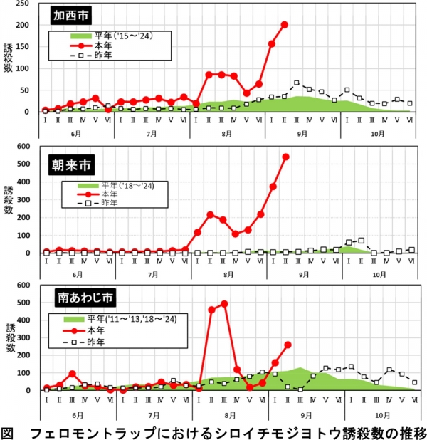 図：フェロモントラップにおけるシロイチモジヨトウ誘殺数の推移