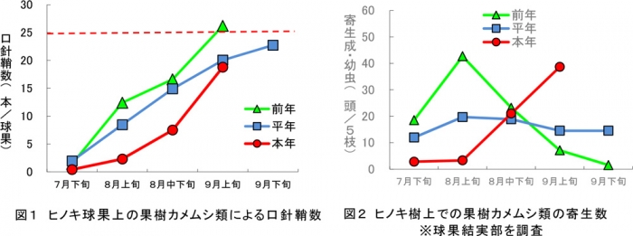 図1：ヒノキ球果上の果樹カメムシ類による口針鞘数、図2：ヒノキ樹上での果樹カメムシ類の寄生数　※球果結実部を調査