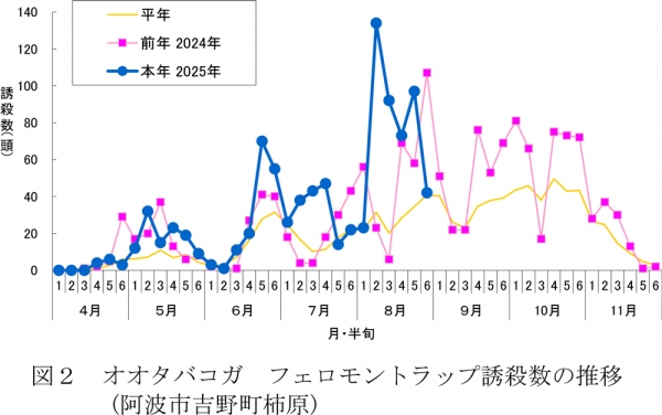 図2：オオタバコガフェロモントラップ誘殺数の推移（阿波市吉野町柿原）