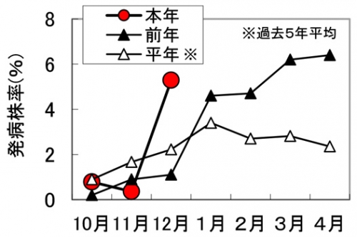 図1：黄化葉巻病の発病株率の推移