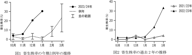 【注意報】レタスにアザミウマ類　沖縄本島で多発のおそれ　沖縄県