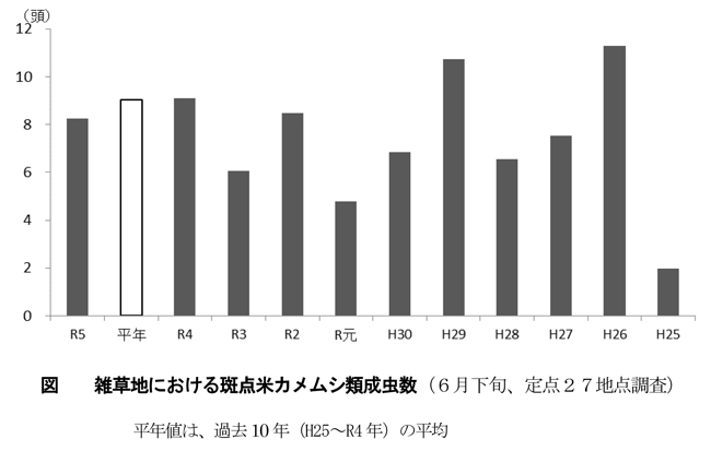 【注意報】斑点米カメムシ類　県内全域で多発のおそれ　石川県