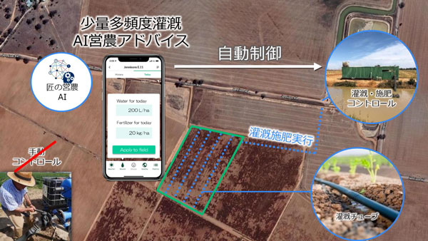自動灌漑設備の導入で灌漑や施肥などAI営農アドバイスを自動で制御可能となり、手動での作業が不要になる