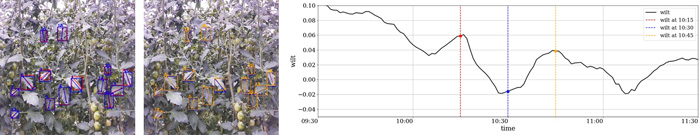 左から、図1（a）午前10時15分頃の草姿画像、（b）午前10時45分頃の草姿画像、（c）新たな萎れ定量化指標の推移（wilt値が大きいほど検出された葉が萎れている状態を示す）