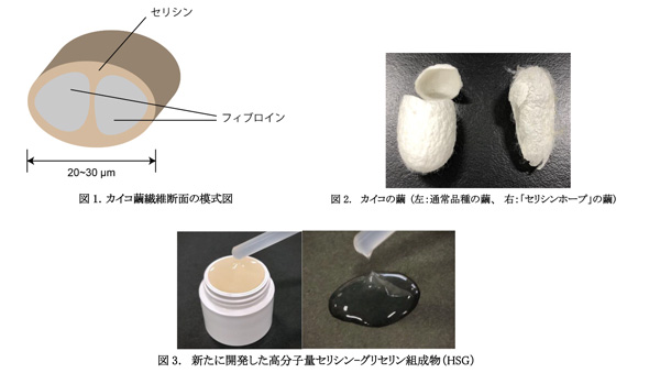 農研機構と共同研究　天然繭タンパク質から新たな皮膚保護剤を開発　ユースキン製薬