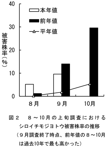 図2：8～10月の上旬調査におけるシロイチモジヨトウ被害株率の推移（9月調査終了時点、前年値の8～10月は過去10年で最も高かった）