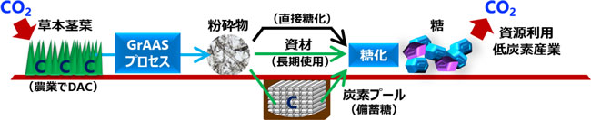 GrAASプロセスを中核工程とした草本茎葉の高度利用フローの概要図