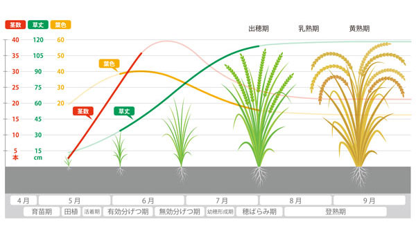 生育指標のデータ化のイメージ