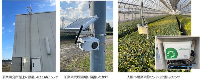 Wi-Fi新規格「11ah」活用　茶葉栽培で農業DX実証実験　埼玉県入間市で開始_02.jpg