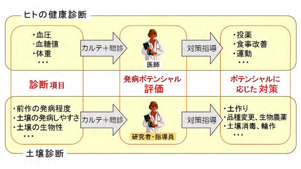 ヘソディムの概念図