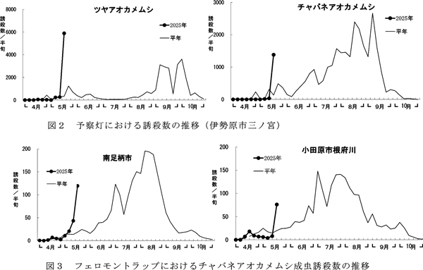 図2：予察灯における誘殺数の推移（伊勢原市三ノ宮）と図3：フェロモントラップにおけるチャバネアオカメムシ成虫誘殺数の推移