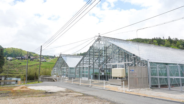 イチゴ生産でCO2削減と農業生産性向上へ　広島県研究・実証支援制度に連携　アヲハタ