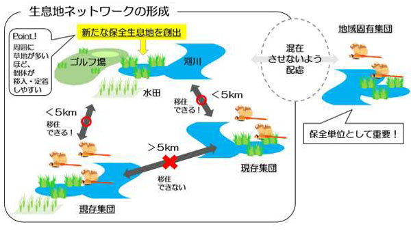 図1：同研究で明らかになったミヤマアカネの生息地ネットワーク形成のための地理的条件