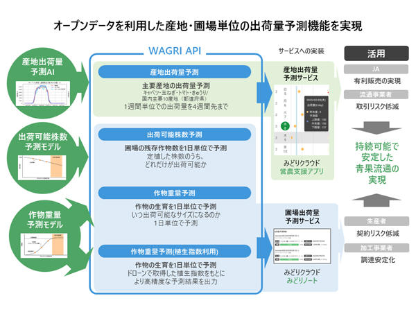 AI活用で青果出荷量の予測を実現　主要産地の出荷量予測情報を提供開始　セラク