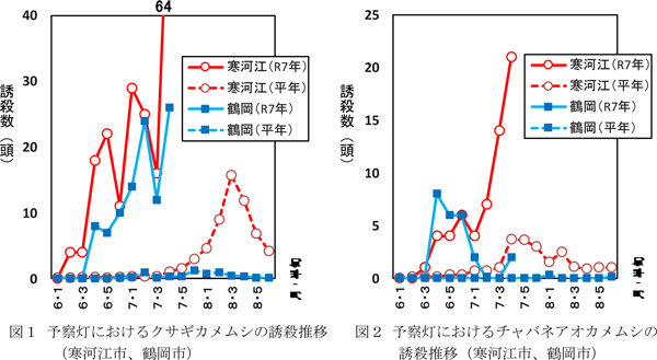 図1：予察灯におけるクサギカメムシの誘殺推移と図2：予察灯におけるチャバネアオカメムシの誘殺推移（寒河江市、鶴岡市）