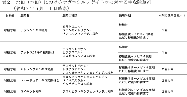 表2：水田（本田）におけるナガエツルノゲイトウに対する主な除草剤（6月11日時点）