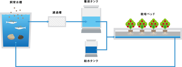 アクアポニックスの仕組み