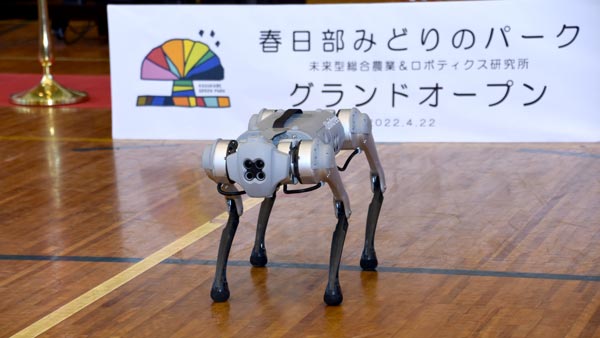 犬型のAIロボット