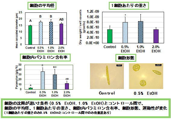 図2. エタノールを添加した培養により生じた変化