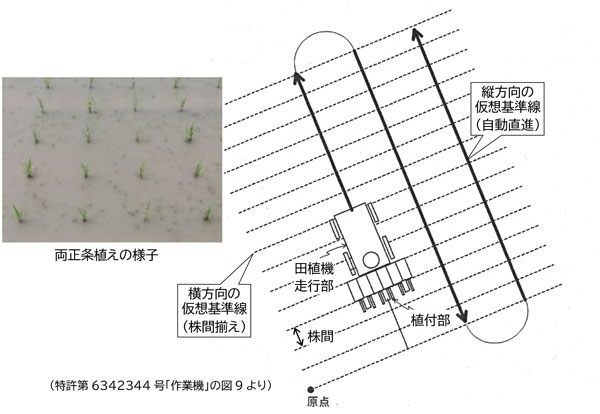 植付位置制御機構を用いた両正条植えの概念図