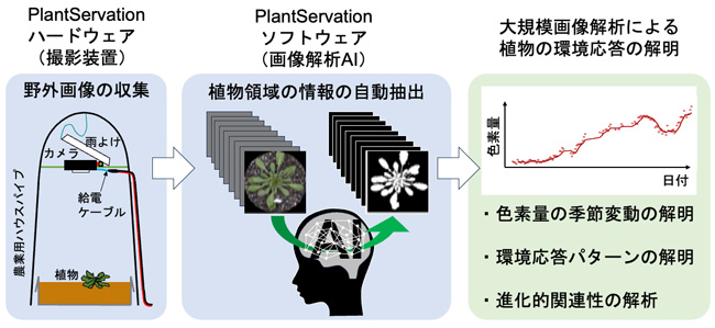 同研究で開発した植物画像解析システム「PlantServation 」概要