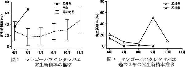 図1：マンゴーハフクレタマバエ　寄生新梢率の推移と図2：マンゴーハフクレタマバエ　過去2年の寄生新梢率推移