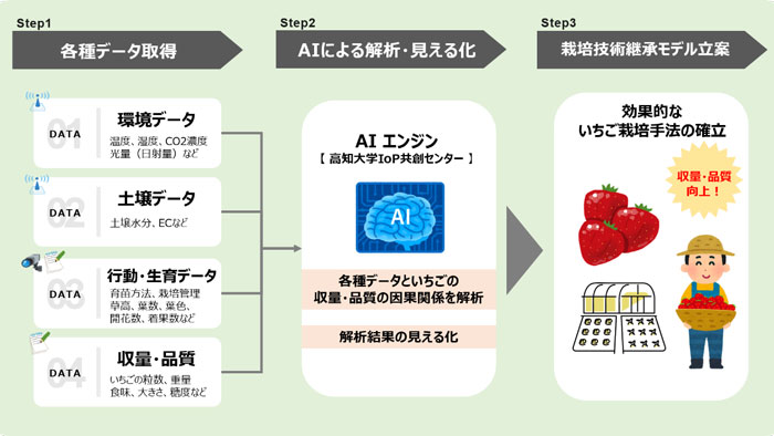 いちご栽培でAIによるデータ解析　高知県佐川町で実証実験開始　NTT西日本