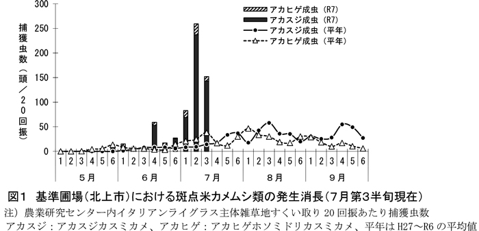 図1：基準圃場（北上市）における斑点米カメムシ類の発生消長（7月第3半旬現在）