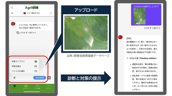 栽培アシストAI「病害虫画像診断」の使い方