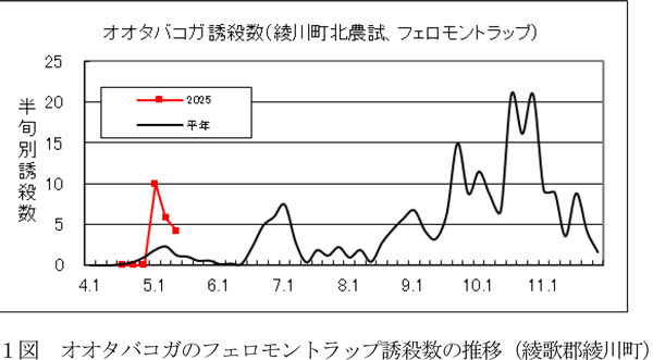 図：オオタバコガのフェロモントラップ誘殺数の推移（綾歌郡綾川町）