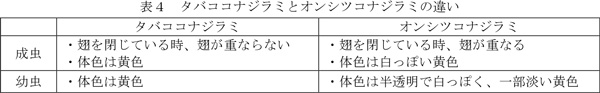 表4：タバココナジラミとオンシツコナジラミの違い