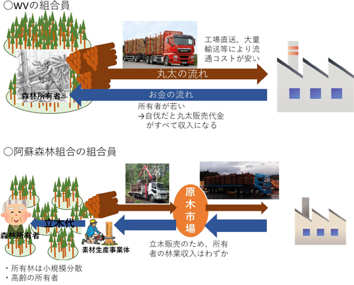 図．林業収入が 2 つの組合で異なる背景