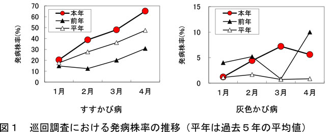 図１　巡回調査における発病株率の推移