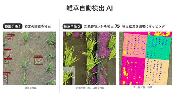 雑草自動検出AIで雑草管理・除草剤の使用量を削減　ナイルワークス