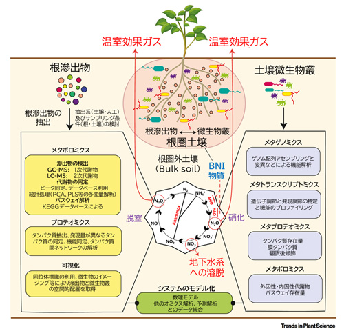 PANOMICSアプローチのイメージ